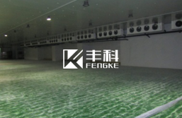 上海交荣冷链物流冷库